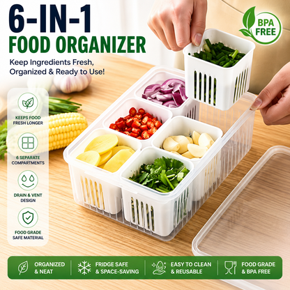 6 Grid Fridge Storage box with Lid and 6 Drain Compartment